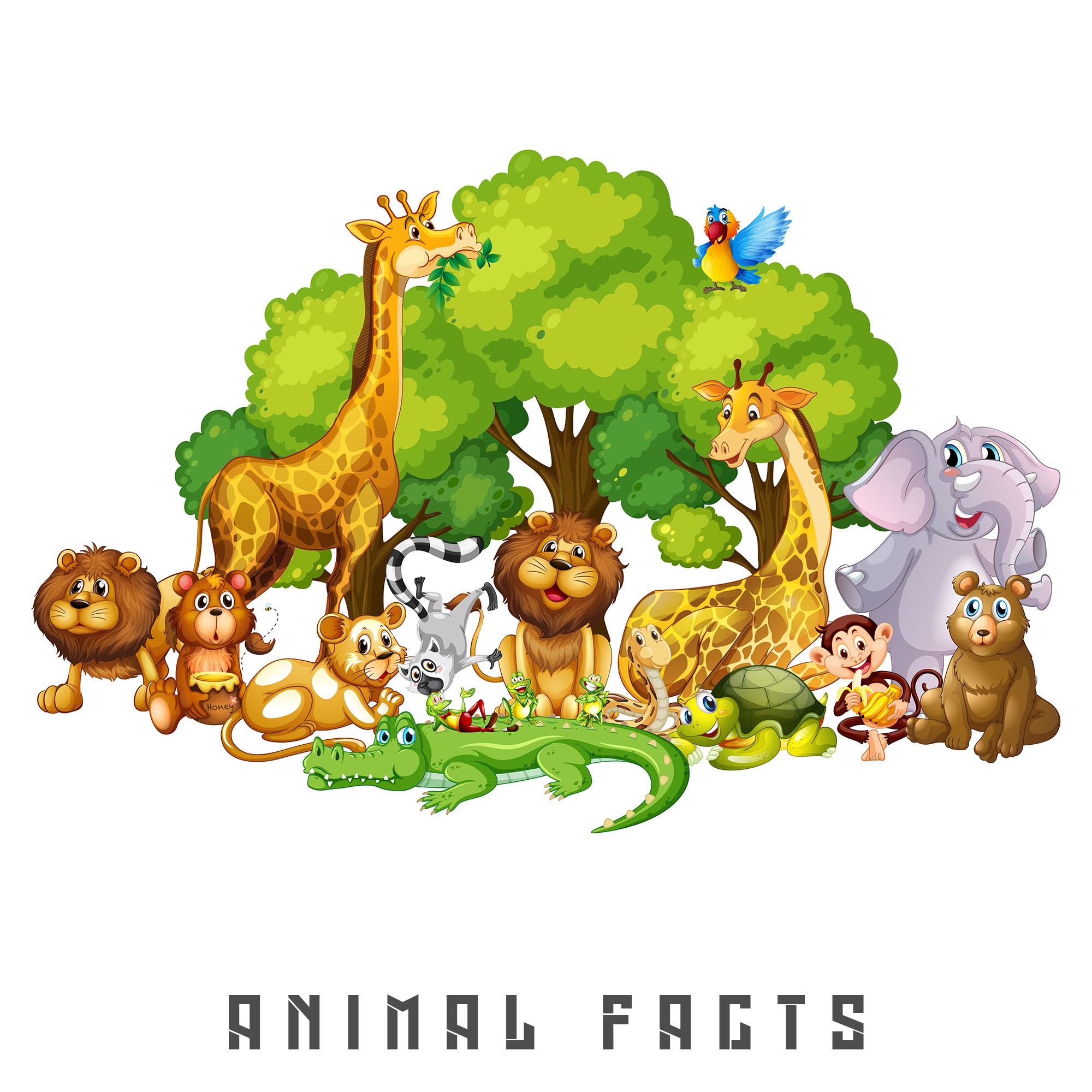 animal facts amazing